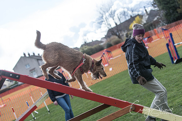 2073__SpringersFunDay_March2014_bluplanetphoto