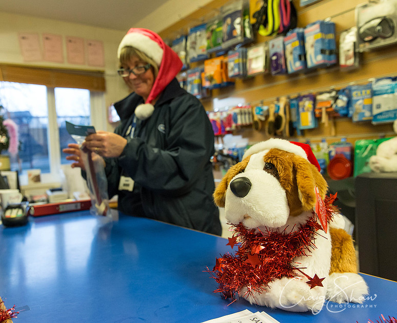 672_RSPCA_Christmas_Dec2013_bluplanetphoto