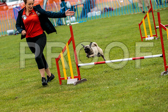 2596_SpringersFunDay2019_craigshawphoto