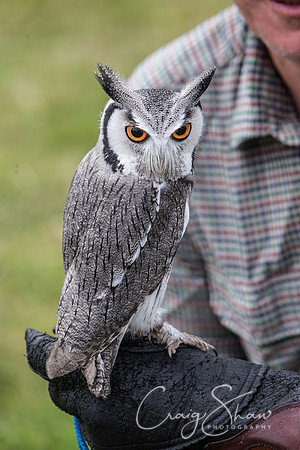 735_TodAgriculturalShow2014__bluplanetphoto