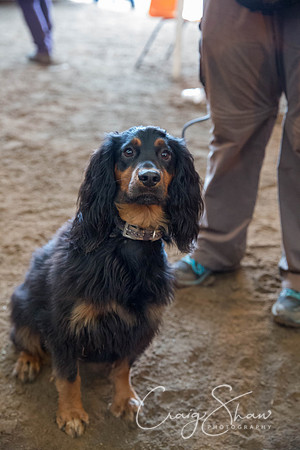 1023_springfling2015_bluplanetphoto