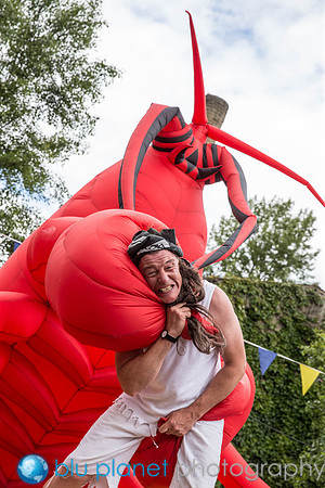 1419_HBAF2014_Sunday29thJune_craigshawphoto