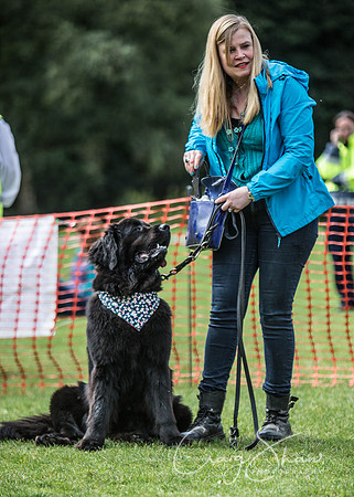 199_HebdenHappyHounds_2014_bluplanetphoto