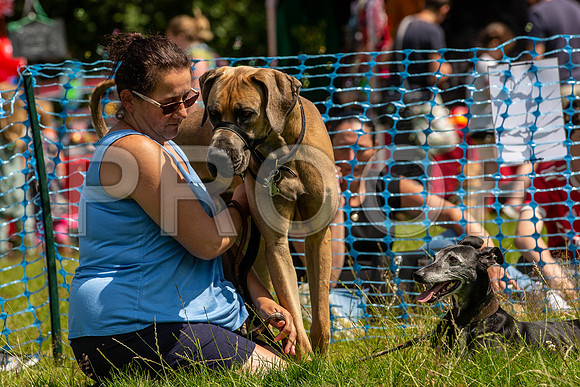 2041__PAWSFundogShow_July2022_cshaw