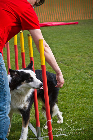 Hebden Happy Hounds RSPCA day