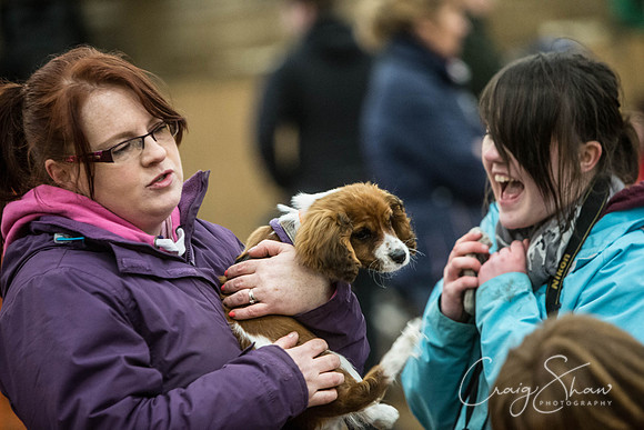 1400_springfling2015_bluplanetphoto