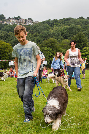 RSPCA Dog Day Afternoon