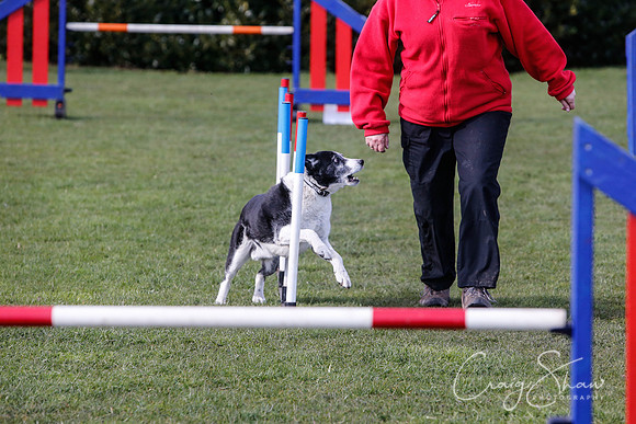 1697__SpringersFunDay_March2014_bluplanetphoto