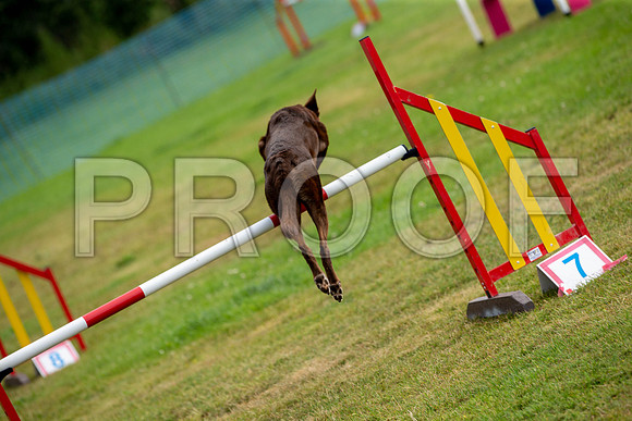 0823_SpringersFunDay2019_craigshawphoto