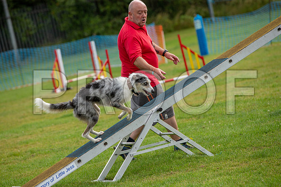 0557_SpringersFunDay2019_craigshawphoto