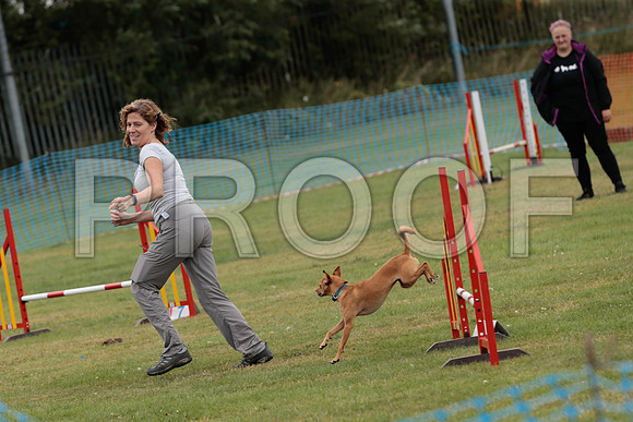 2642_SpringersFunDay2019_craigshawphoto