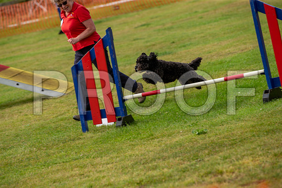 0772_SpringersFunDay2019_craigshawphoto