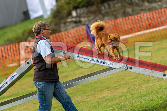 0882_SpringersFunDay2019_craigshawphoto