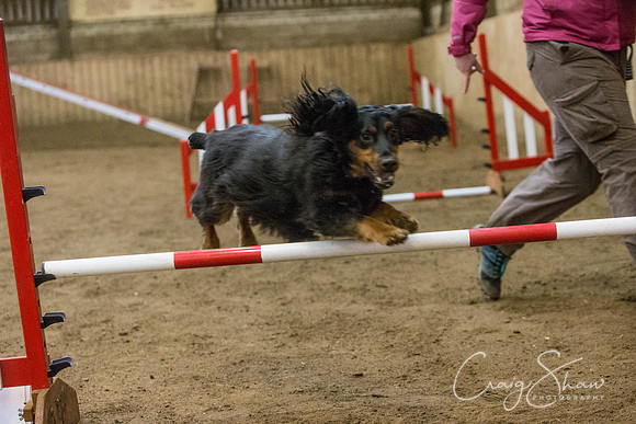 2561_springfling2015_bluplanetphoto