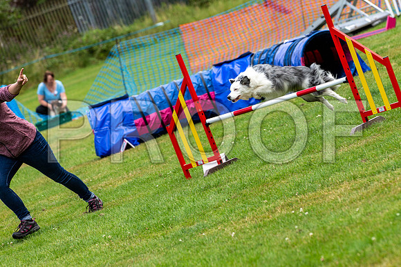 2440_SpringersFunDay2019_craigshawphoto