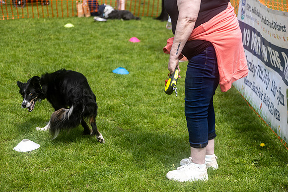 1975_HebdensHappyHounds2024_Cshaw-