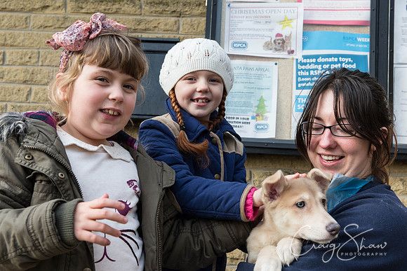 470_RSPCA_Christmas_Dec2013_bluplanetphoto