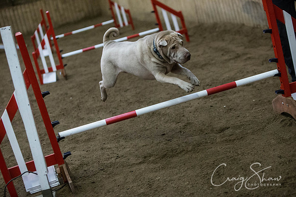 2843_springfling2015_bluplanetphoto
