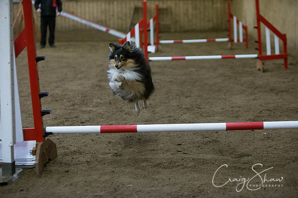 2771_springfling2015_bluplanetphoto