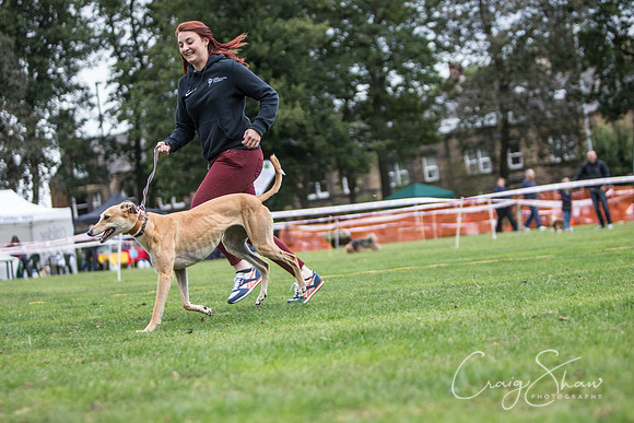 2137_BarkintheParkHuddersfield_2014_bluplanetphoto