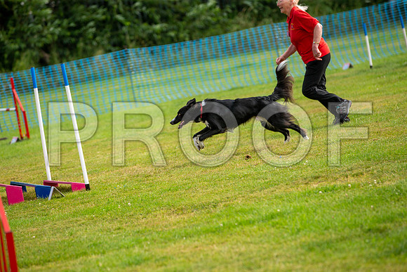 0709_SpringersFunDay2019_craigshawphoto