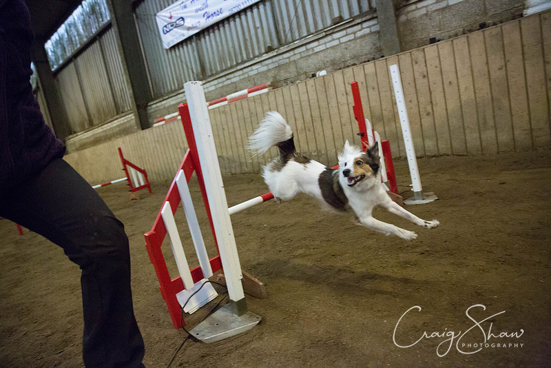 589_springfling2015_bluplanetphoto
