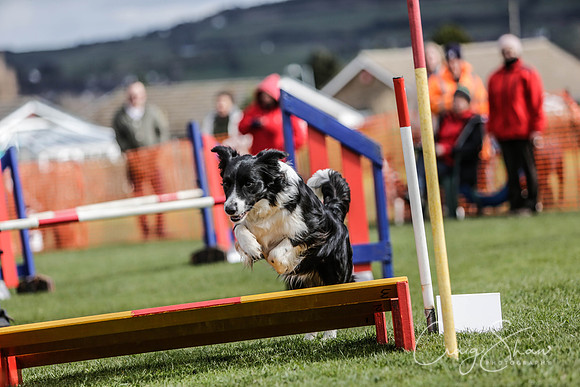 805__SpringersFunDay_March2014_bluplanetphoto