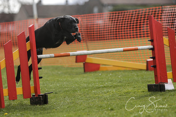 759__SpringersFunDay_March2014_bluplanetphoto