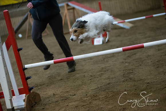 1369_springfling2015_bluplanetphoto