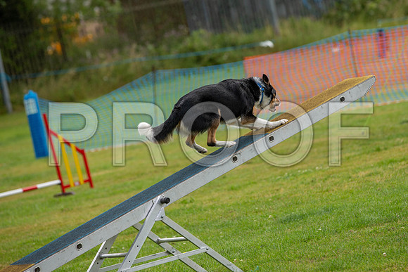 0508_SpringersFunDay2019_craigshawphoto