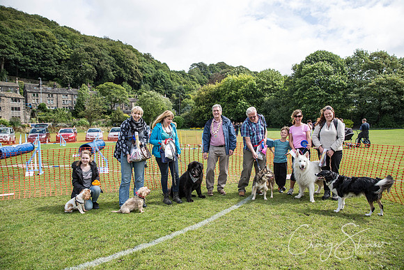 239_HebdenHappyHounds_2014_bluplanetphoto