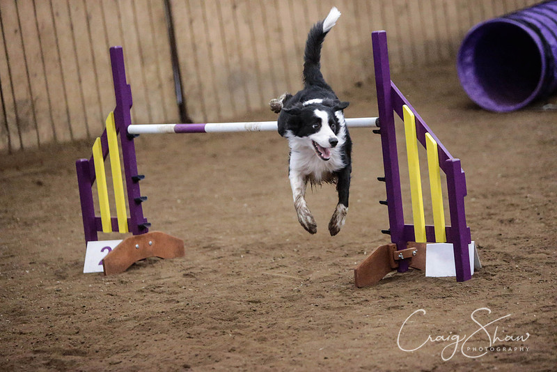 1639_SpringFling2014_bluplanetphoto