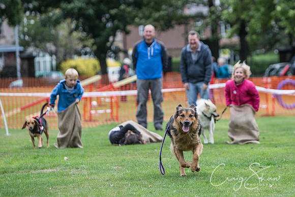 1975_BarkintheParkHuddersfield_2014_bluplanetphoto
