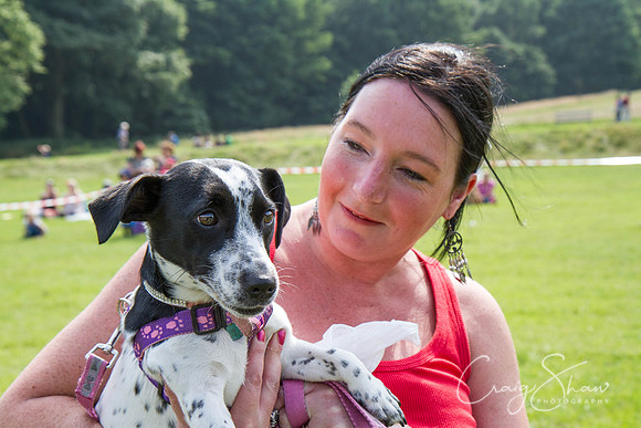 RSPCA Dog Day Afternoon