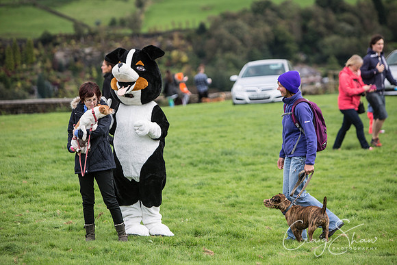120_Woofstock2016_craigshaw