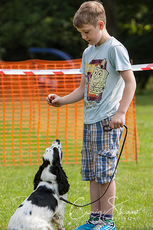 RSPCA Dog Day Afternoon