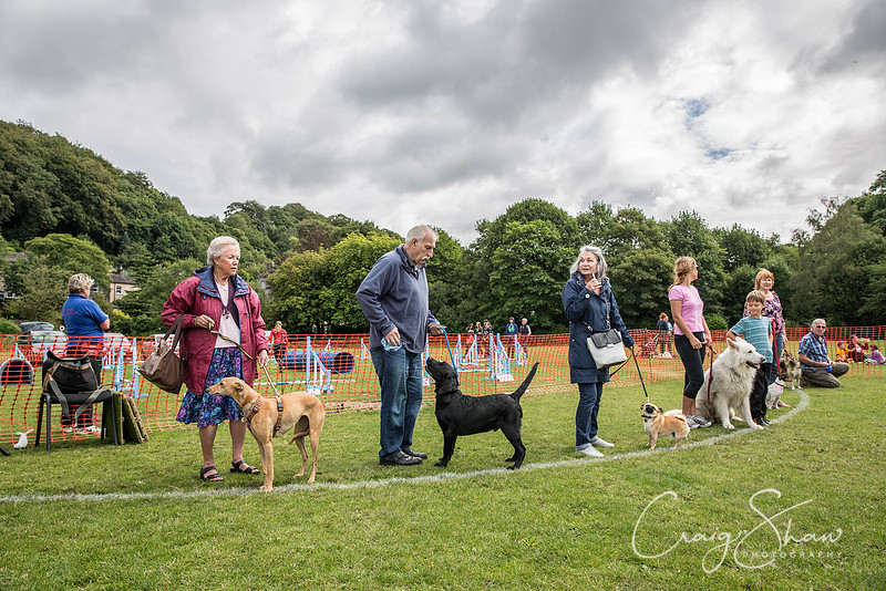 186_HebdenHappyHounds_2014_bluplanetphoto