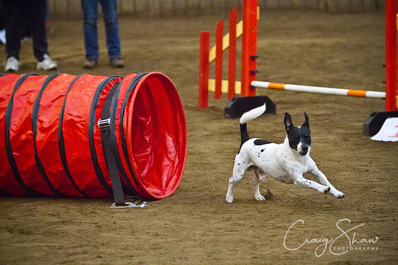 spring fling 2012-611