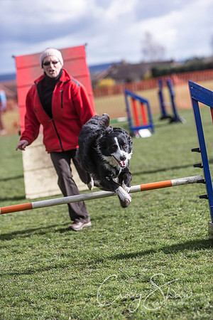 2191__SpringersFunDay_March2014_bluplanetphoto