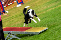 1233_SpringersFunDay2019_craigshawphoto