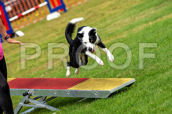 1233_SpringersFunDay2019_craigshawphoto
