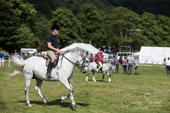 74_TodAgriculturalShow2014__bluplanetphoto