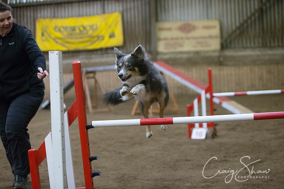 1238_springfling2015_bluplanetphoto