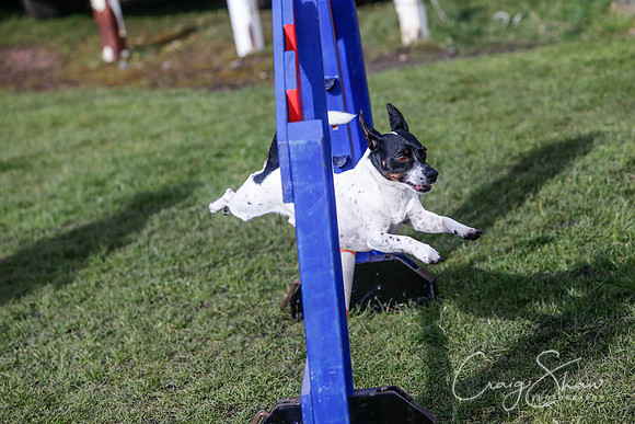 1763__SpringersFunDay_March2014_bluplanetphoto