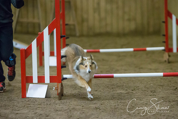 2730_springfling2015_bluplanetphoto