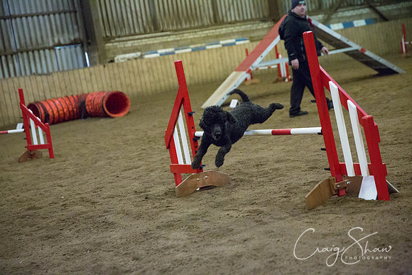 463_springfling2015_bluplanetphoto