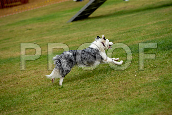 1452_SpringersFunDay2019_craigshawphoto