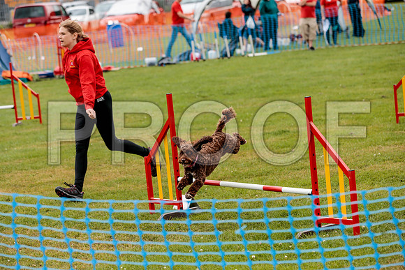 2635_SpringersFunDay2019_craigshawphoto