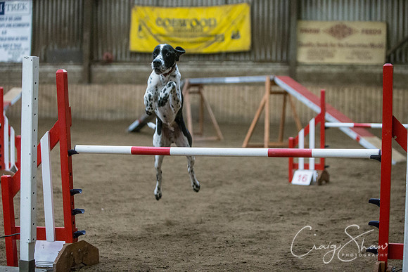 1310_springfling2015_bluplanetphoto