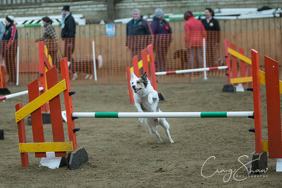 2655_springfling2015_bluplanetphoto